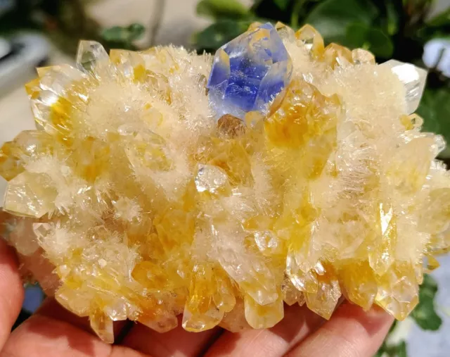 750g New Find Yellow Phantom Quartz Crystal Cluster Mineral Specimen Healing