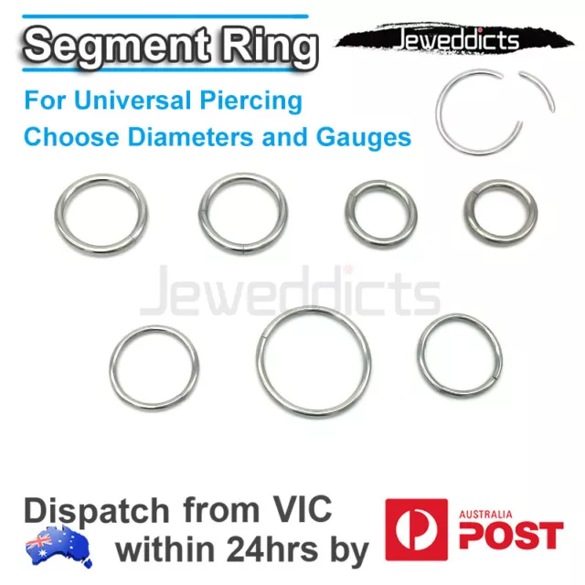 Segment Ring Piercing Seamless Septum Captive Ear Nose Lip Hoop SURGICAL STEEL