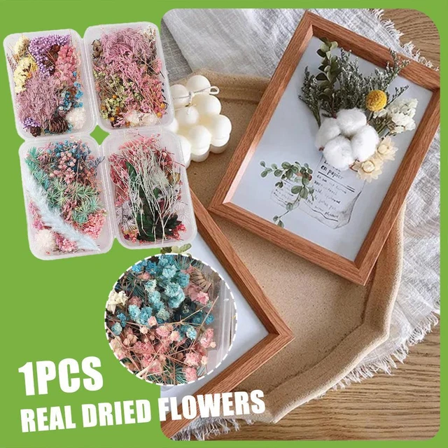 Mezcla de flores secas para joyería de resina plantas secas fabricación de flores prensadas Z2X8