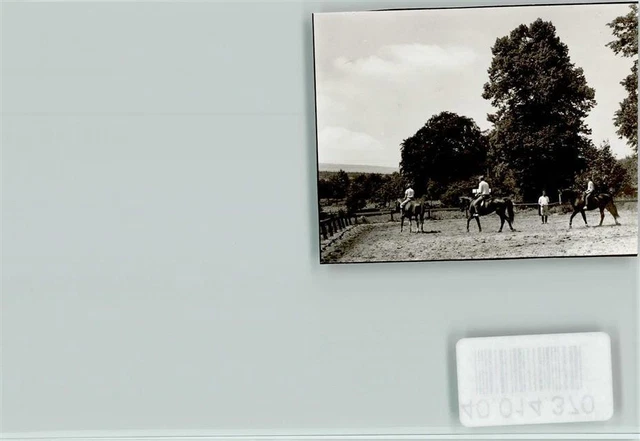 40014370 - 4920 Lemgo Niedermeien Hof Rider