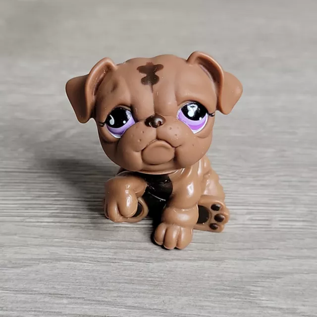LPS Littlest Pet Shop #881 Brown English Bulldog Purple Eyes LPS Littlest Pet Shop #881 Brown English Bulldog Purple Eyes