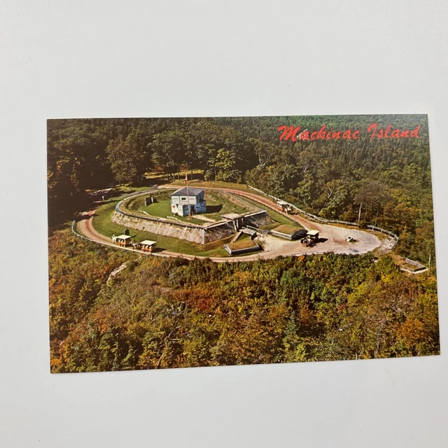 Postcard Aerial View Of Lake City On Lake Missaukee Michigan B711F