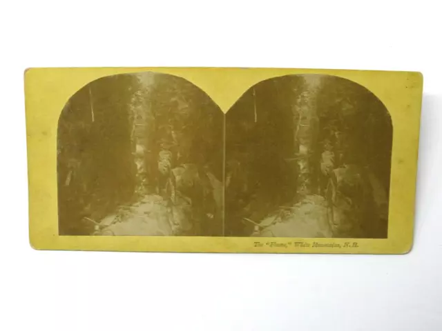 The Flume Gorge White Mountains Lincoln NH Stereoview c1870 Albumen Print