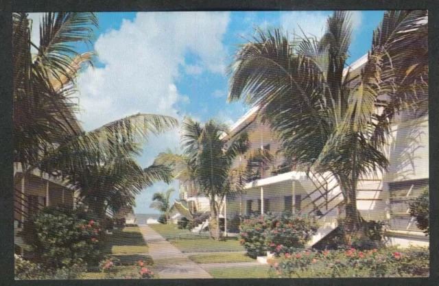 The Dolphin Apartments 17006 Gulf Blvd St Petersburg FL postcard 1950s