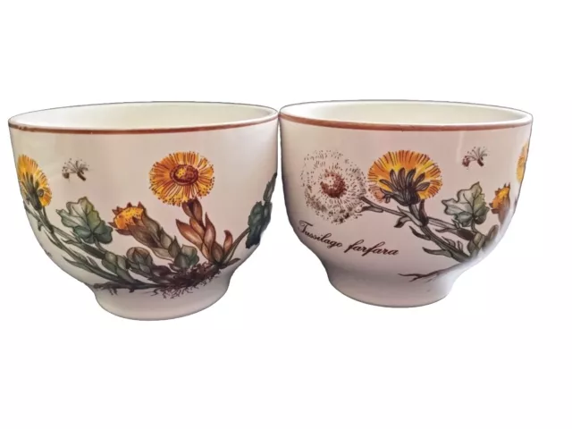 Villeroy & Boch Botanica Flat Cups Set of 2