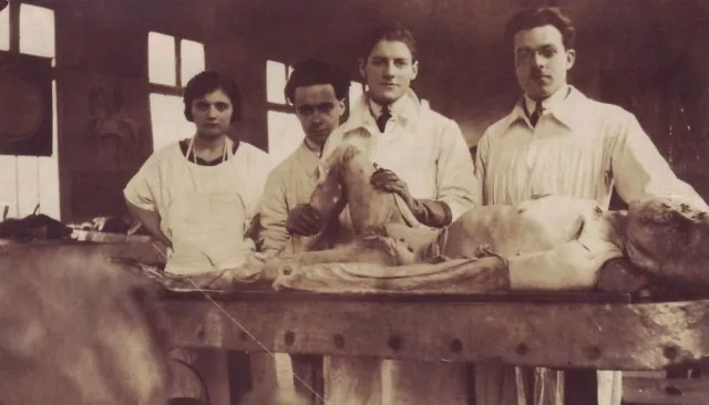 Antique Medical Autopsy Photo 159b Oddleys Strange & Bizarre