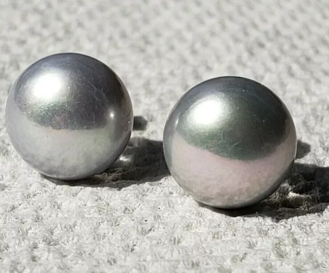 8-8.5mm Silver Grey Cultured Freshwater Pearl Stud Earrings Sterling Silver .925