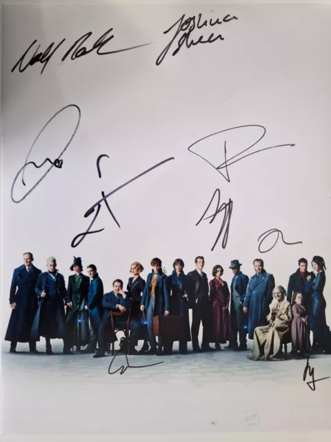 Fantastic Beasts CAST MULTI SIGNED 11x14 Photo AFTAL OnlineCOA