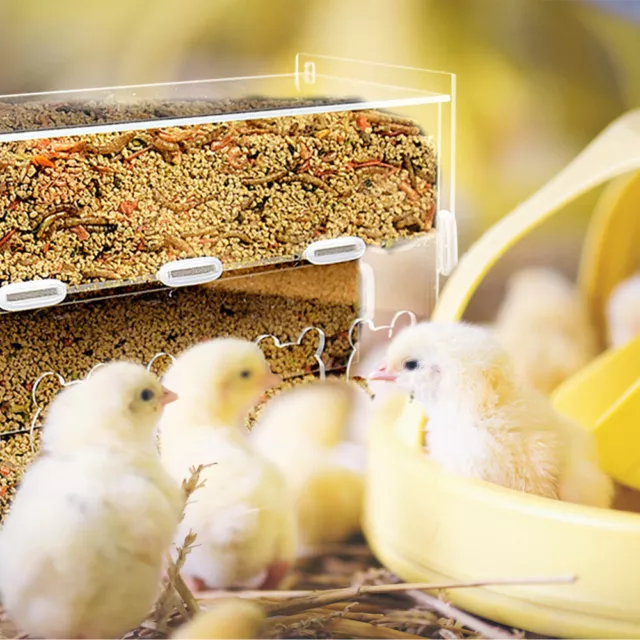 Futterautomat Rutin-Hähnchenfutter Für Hühner Klarer Futterbehälter