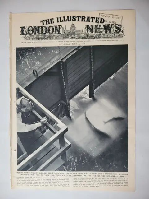 Salmon Run Bonneville Dam Columbia River 1938 Illustrated London News ~14.5x10"