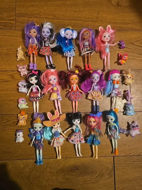 LARGE COLLECTION OF Enchantimals Dolls Animals Accessories. Used job lot 24.99 PicClick UK