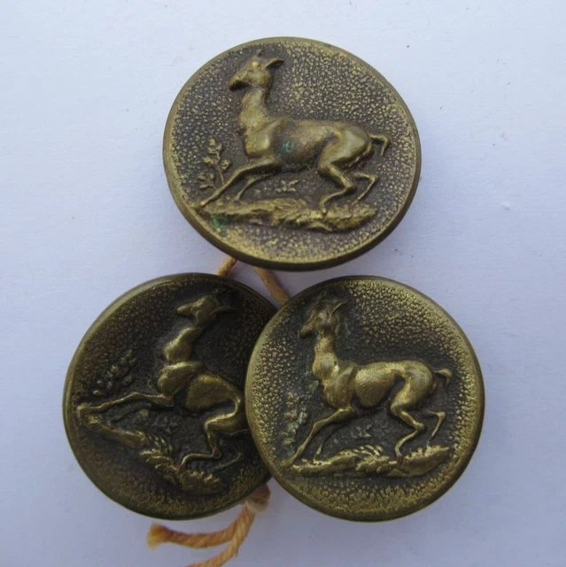 Ancien Bouton De Vènerie – Équipage De Chasse Au Cerf – 16 Mm – A.P & Cie Paris – Bronze