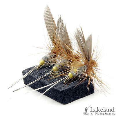 3, 6 o 12x Lepri Ear Dry TROTE mosche per pesca a mosca