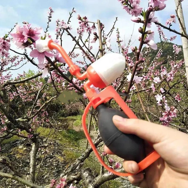 Pollinator Pollen Sprayer for Fruit Trees Tomatoes Kiwi Fruits Peach Tr 3