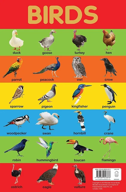 BIRDS CHART: EARLY Learning Educational Chart For Kids by Wonder House ...