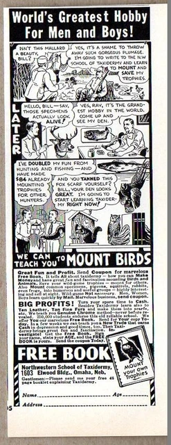 1963 Print Ad Northwestern School of Taxidermy Mount Birds Omaha,Nebraska