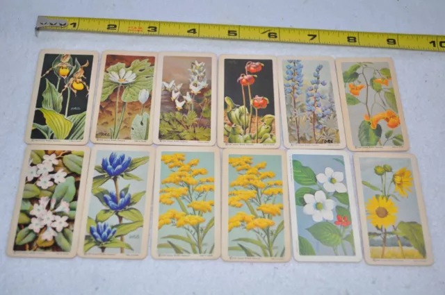 Red Rose Tea, Brooke Bond Tea, Wildflower & Tree Cards, Vintage, Lot of 12