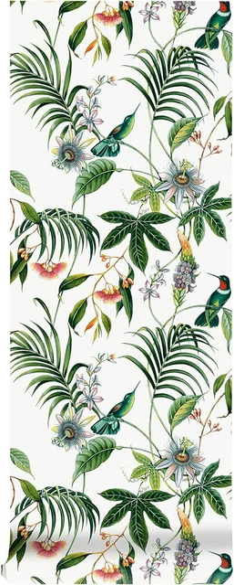 Carta da parati Adilah colibrì tropicale floreale bianco crema verde