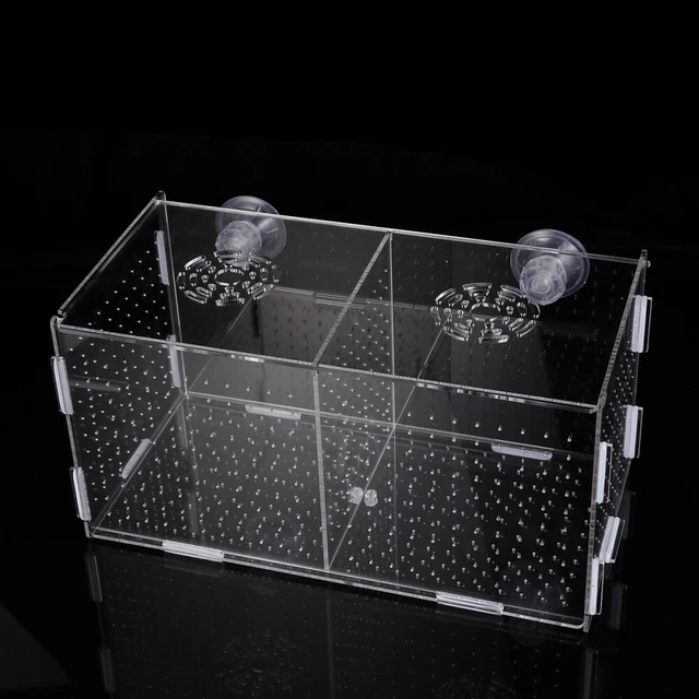 Birthing Tank Fish Aquarium Net Breeder Betta Breeding Tank Fish Isolation Box