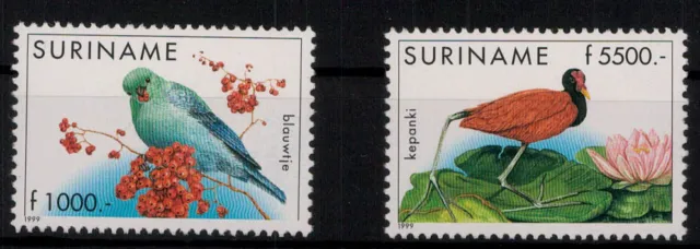 Surinam; Vögel 1999 kpl. **