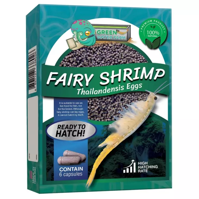 Fairy Shrimp Thailandensis Eggs Live Fish Food for Hatching and Feed Betta Fish