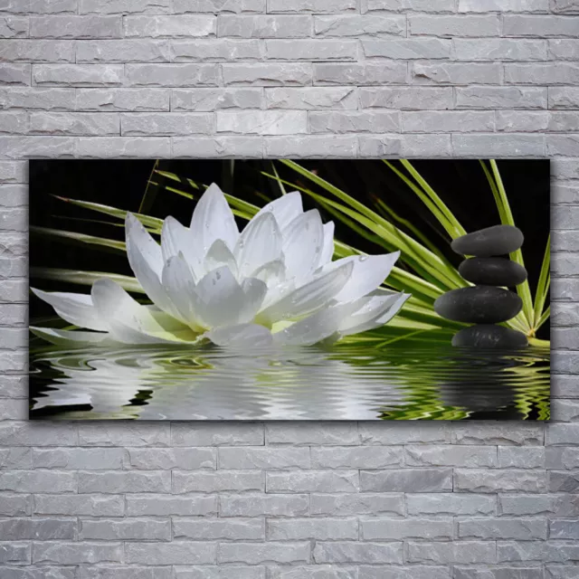 Glasbilder Wandbild Druck auf Glas 120x60 Blume Steine Wasser Pflanzen