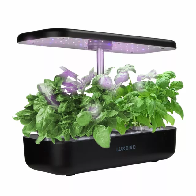 Inkbird 3L LED Hydroponics Growing System Herb Garden Starter Germination Kit