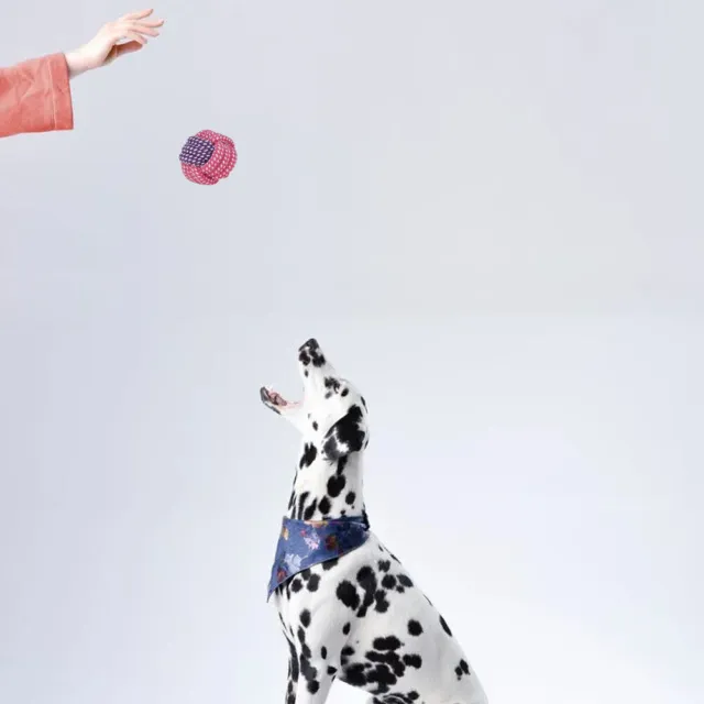 15er/Set Hundespielzeug Hund Welpen Kauen Baumwolle Seile Spielzeug für Haustier 9