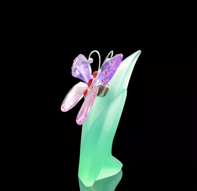 Swarovski Crystal Paradise Butterfly Acara Violet Figurine With Leaf Display 3