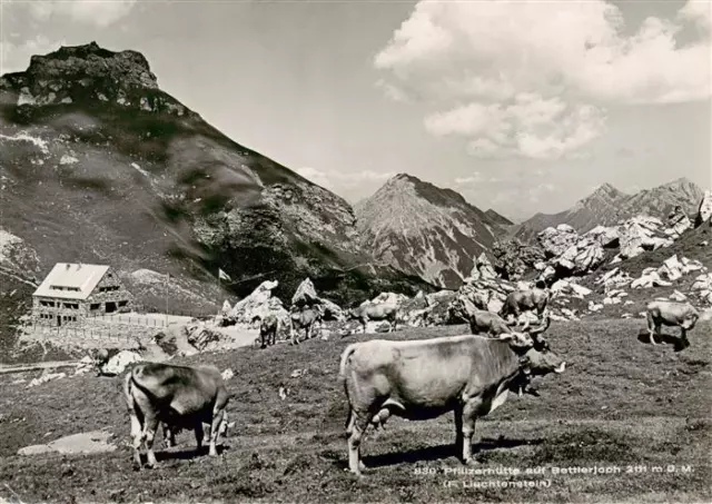 73888267 Pfaelzerhuette_2111_Bettlerjoch_Liechtenstein Panorama