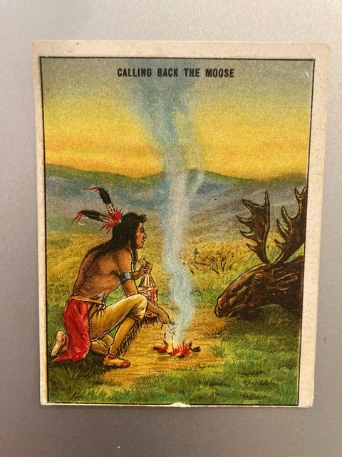 1910 T73 Hassan Indian Life In The 60’s Calling Back The Moose B16
