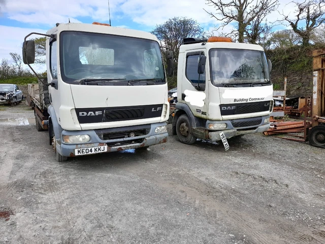 Breaking Daf LF 45 7.5ton Truck "Wheel nut" Choice available, please ask
