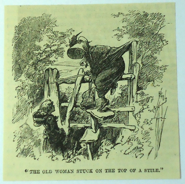 1886 Piccolo Rivista Incisione ~ The Old Woman Bloccato Su Top di Un Stile Fence