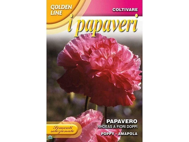 10 Graines De Calamus Guruba - Palmier Rotin Grimpant Pour Jardin | Plante Exotique D'Asie