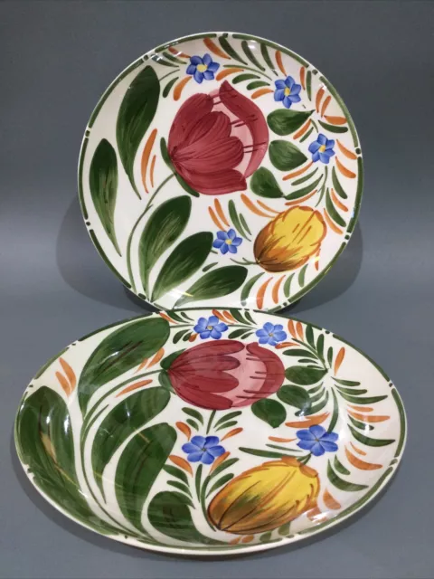 Wade Pottery Royal Victoria “ Capri “ 2 x Hand Painted Dinner Plates