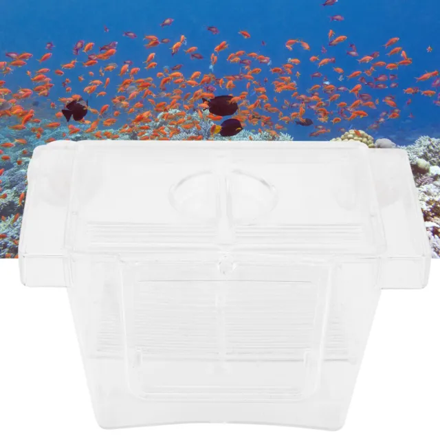 Acrylic Aquarium Fish Breeder Box Hatching Incubator Isolation Box (Small Si Gox