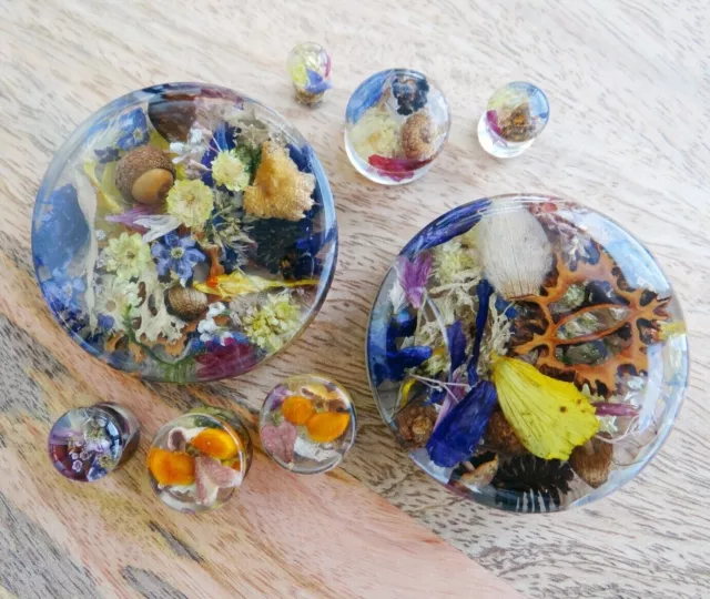 Resin plugs and tunnels Birthday gift 2g 0g gauges with acorn moss lichen 1 pair
