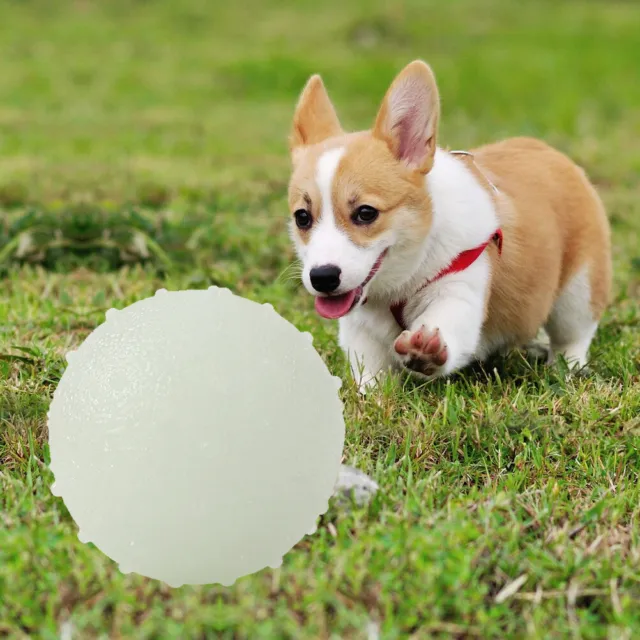 Pet's Luminous Ball Balls Bite Resistant Dog Toy Soft Puppy Interactive Suppl FR