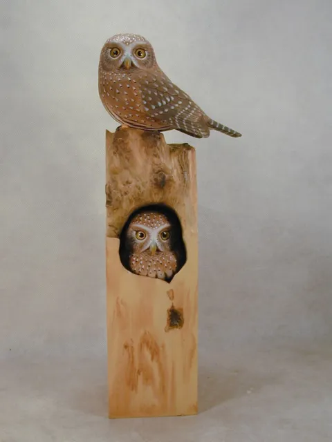 Northern Pygmy Owl Original Wood Carving