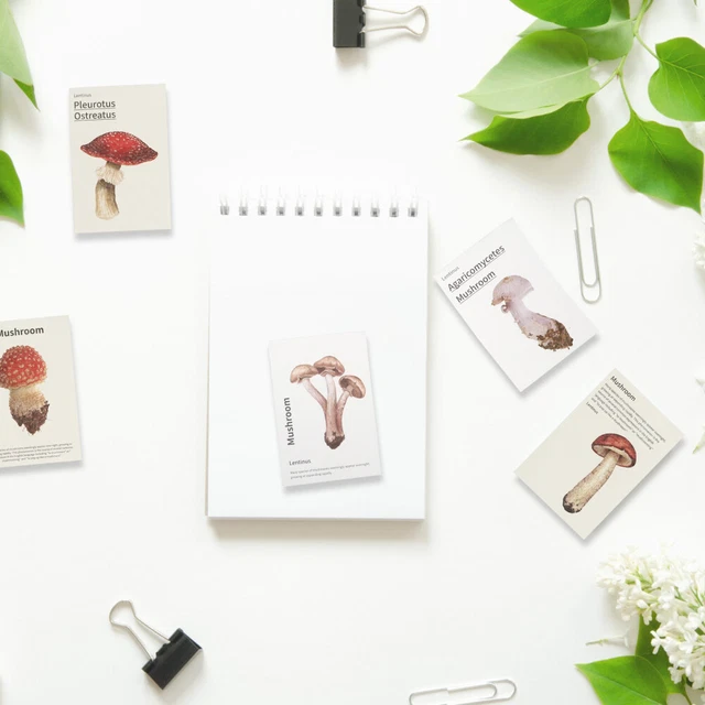 4 Sets DIY Kraft Paperswerk Papier Blätter DIY Hintergrund Papiere 4