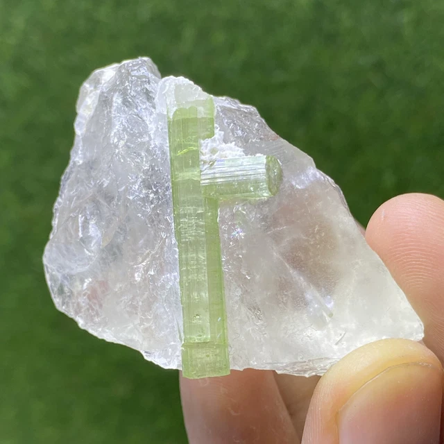 Watermelon Tourmaline Crystal On Specimen Quartz @ Paprok Afghanistan 64Gram