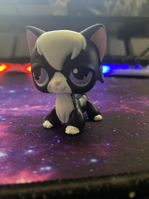 Figurine Littlest Pet Shop Hasbro - Chat Angora Blanc #364 (Occasion)