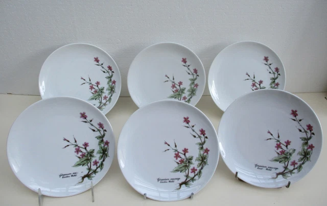 12 Assiettes à Dessert Seltmann Weiden Theresia Porcelaine Floral Or