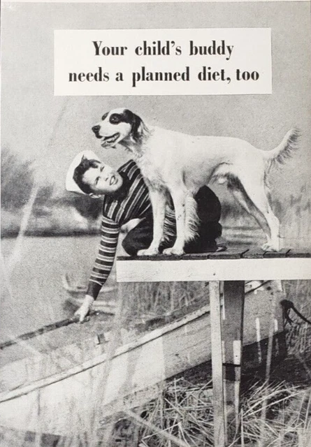 1952 Print Ad Kellogg's Gro-Pup Ribbon Dog Food Pointer Dog With Boy On Dock