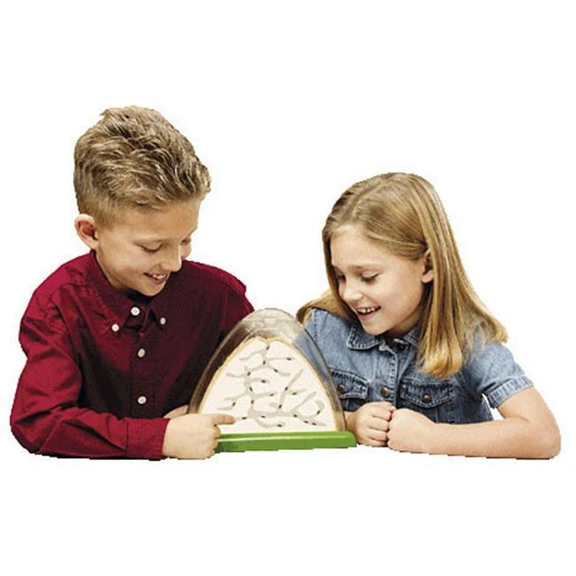 Insect Lore Ilp5510 Ant Hill-Double-Sided Viewing Area