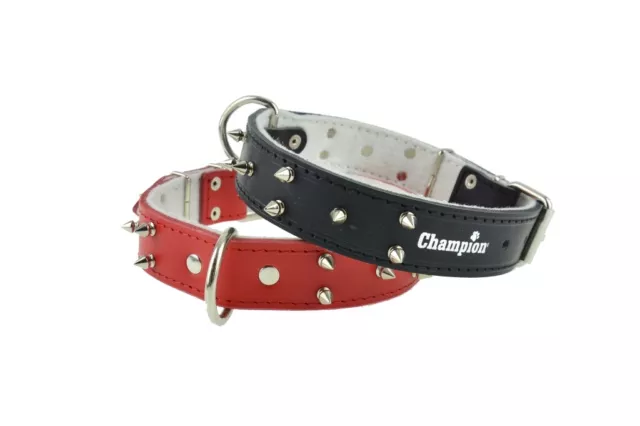 Champion, Leather Spiked Studded Dog Collar ,Pet Collars & Dog Safety Seat Belt