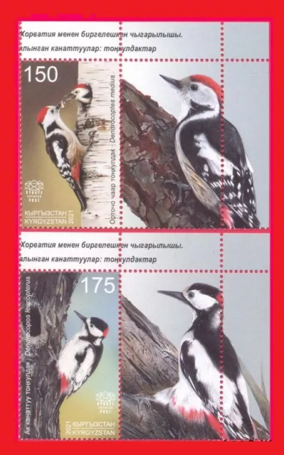 165.KYRGYZSTAN 2021SET/2 Tampon + Étiquette Protégé Oiseaux, Bois Pecker. MNH