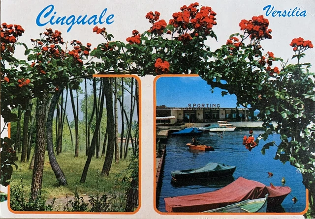 Cartolina Cinquale Montignoso Massa Versilia viaggiata