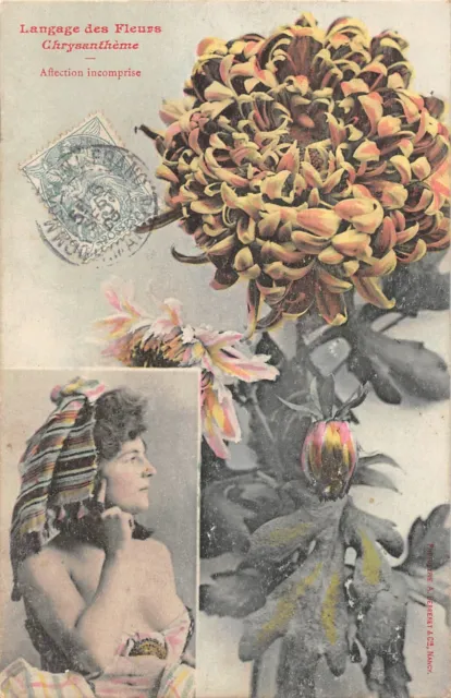 CPA BERGERET - Langage des Fleurs - Chrysanthème (144155)