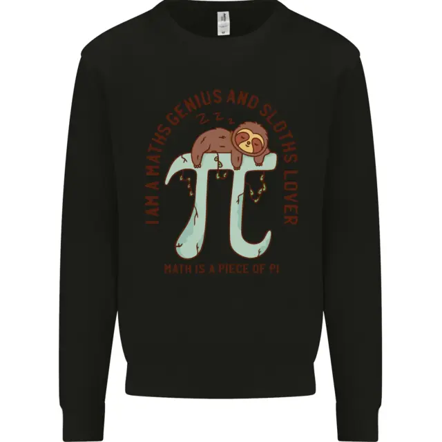Im a Maths Genius and Sloth Lover Funny Kids Sweatshirt Jumper